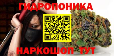 шишки Ликино-Дулёво