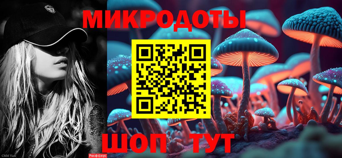 Зеленогорск  Галлюциногенные грибы Cubensis  Вход с VPN 